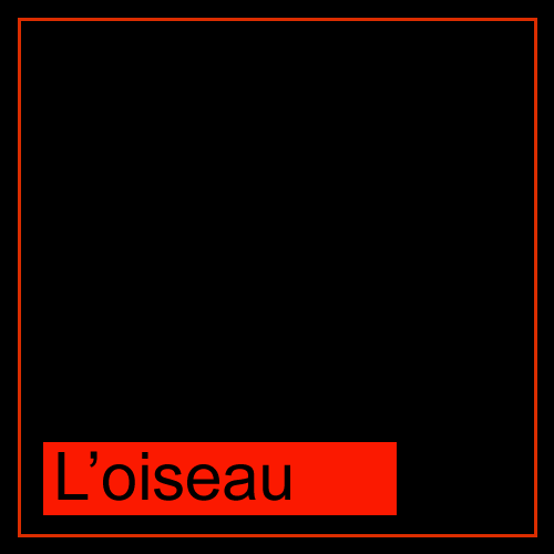 "L'oiseau" par Radia Zeghari